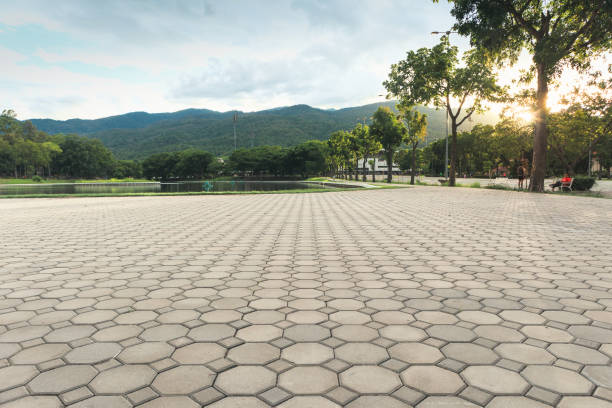 Professional Driveway Pavers in Irmo, SC